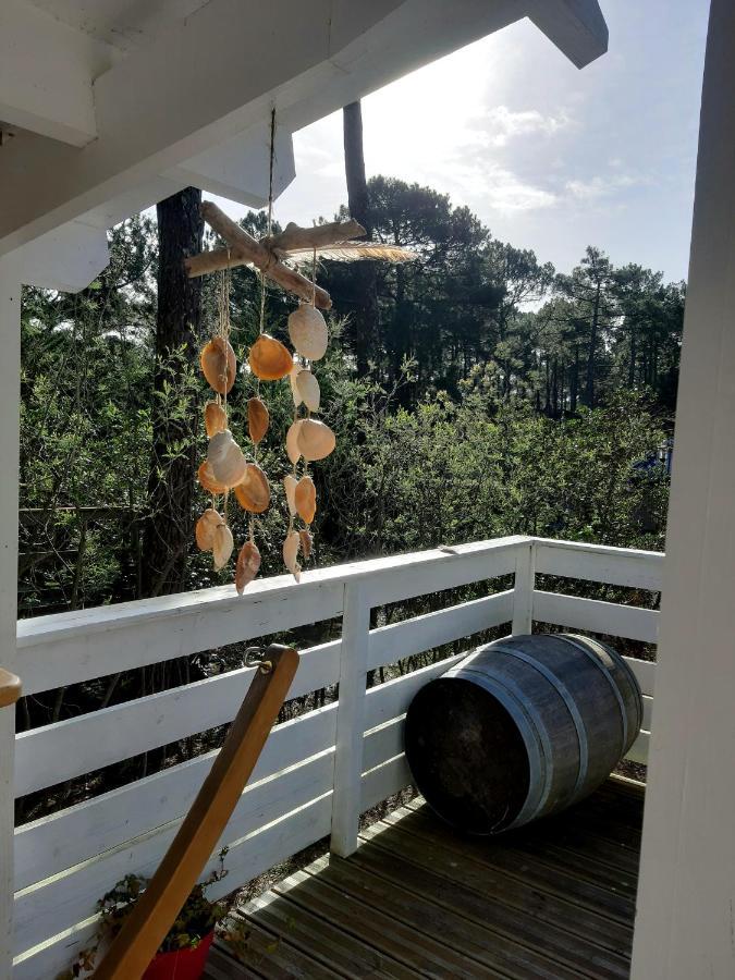 הוילה לה פורז' Domaine Residentiel Naturiste De La Jenny Chalet 6 Pers מראה חיצוני תמונה
